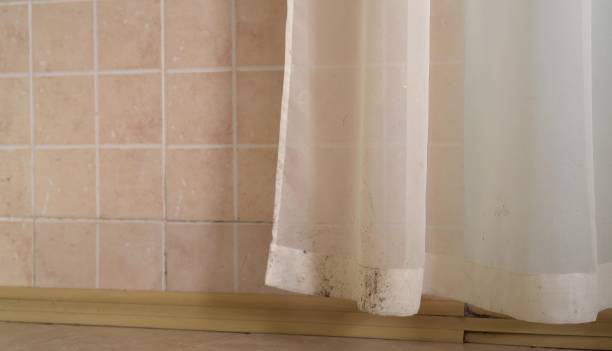 Best Residential Mold Inspection & Testing  in Ewa Gentry, HI
