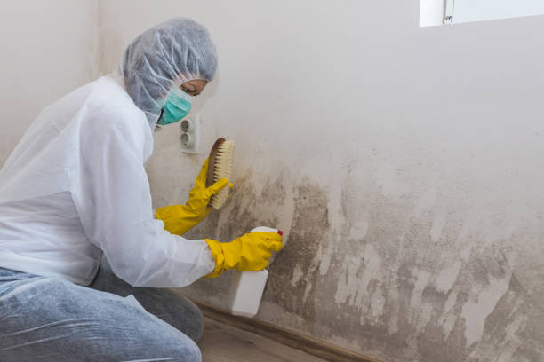 Best Airborne Mold Testing  in Ewa Gentry, HI