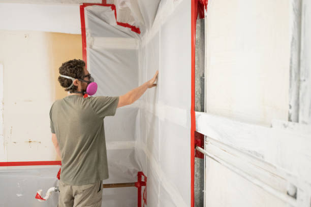 Professional Mold Removal in Ewa Gentry, HI
