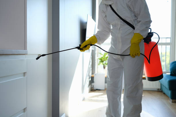Mold Remediation for Vacation Homes in Ewa Gentry, HI