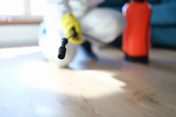Best Forensic Mold Investigation  in Ewa Gentry, HI