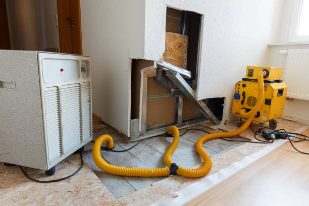  Ewa Gentry, HI Mold Removal Pros