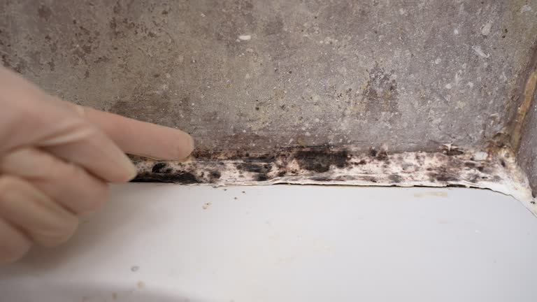 Best HVAC Mold Inspection and Cleaning  in Ewa Gentry, HI